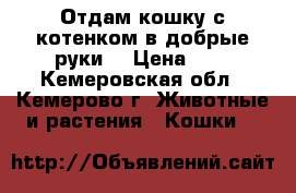 Отдам кошку с котенком в добрые руки. › Цена ­ 1 - Кемеровская обл., Кемерово г. Животные и растения » Кошки   